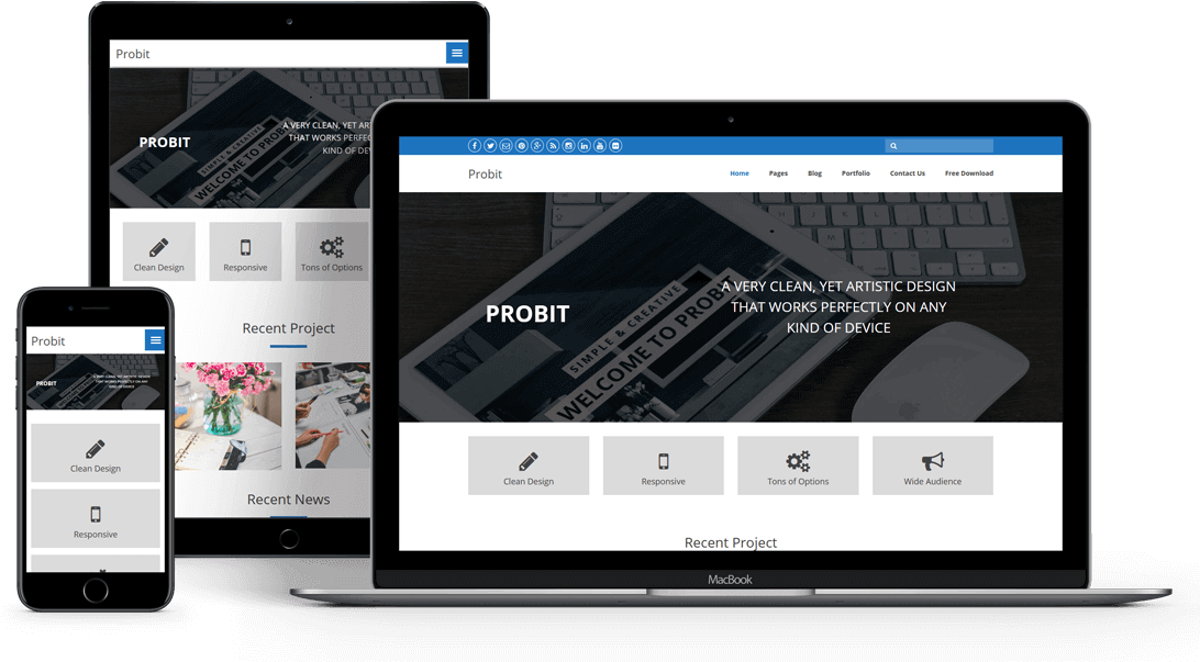 wordpress dev